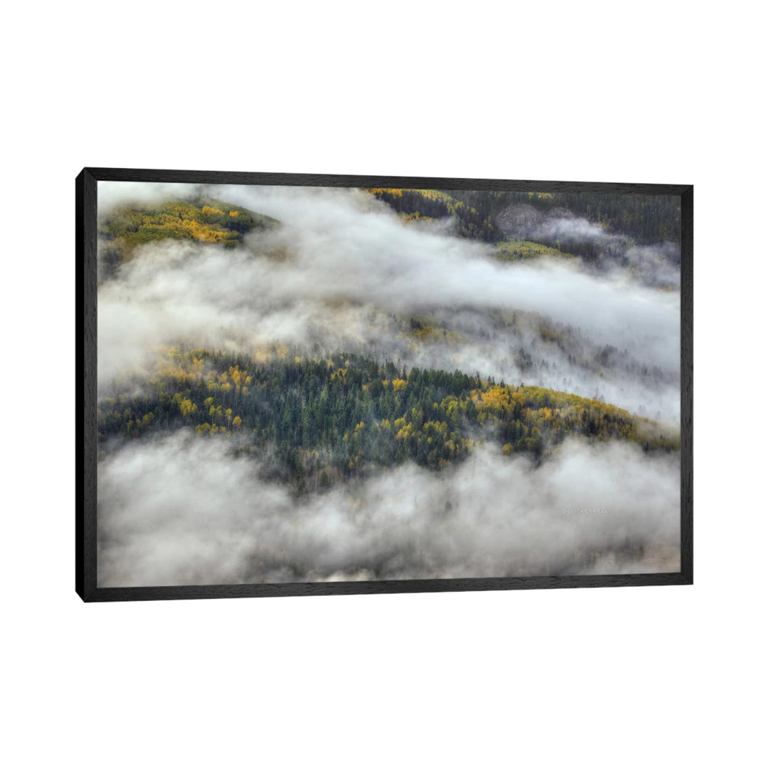 Aspen Forest In The Clouds von Bill Sherrell - Gallery-Wrapped Canvas Giclée on Canvas