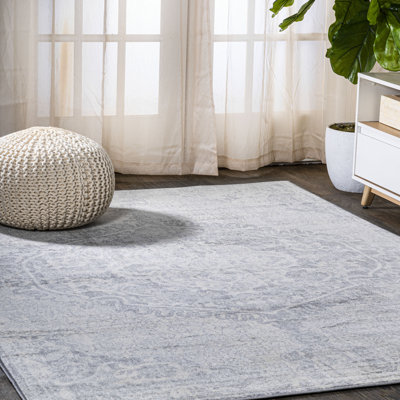 Ademar Modern Persian Vintage Medallion Gray/Ivory Rug