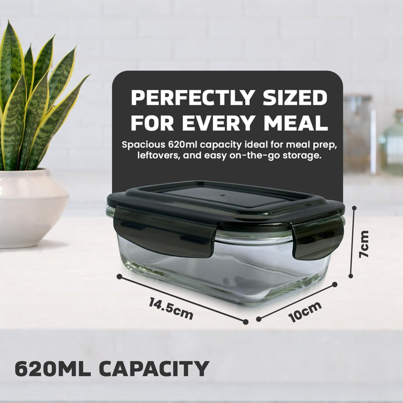 620ml Food Storage Container