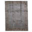Oriental Area Rug in Gray