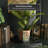 Dianelis Handmade Ceramic Pot Planter