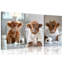 Animals 3 - Piece