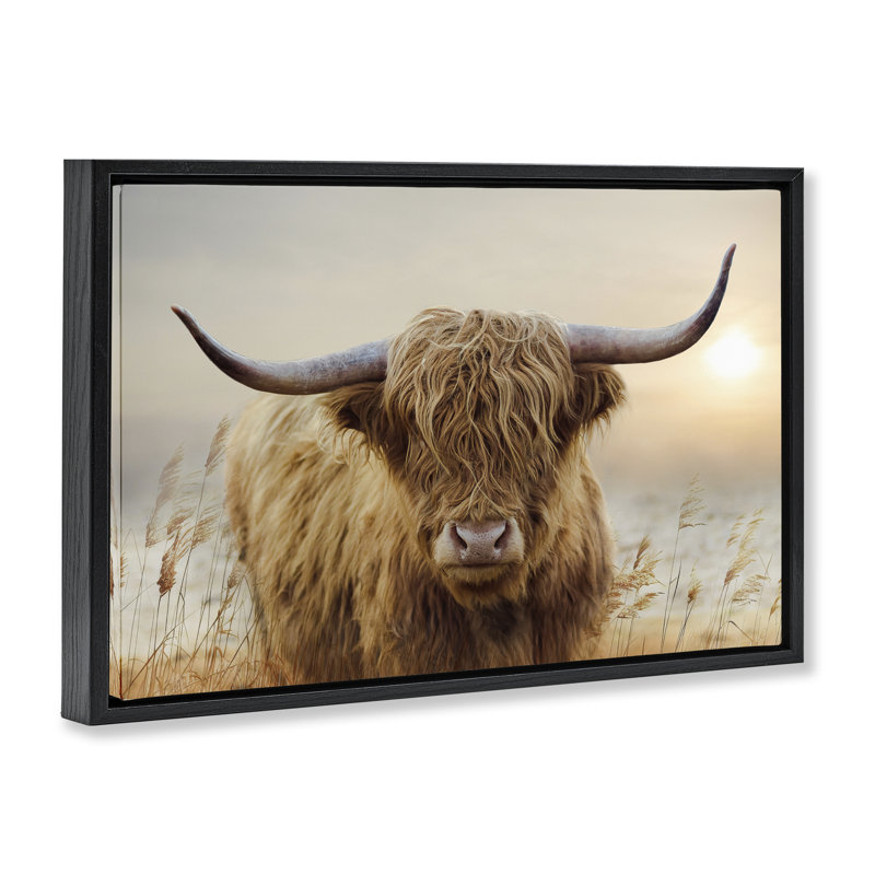 Cadre flottant Highland Cow & Warm Sunset, design par CAD Designs, Cadre flottant noir de jais, H 17 po x l 25 po