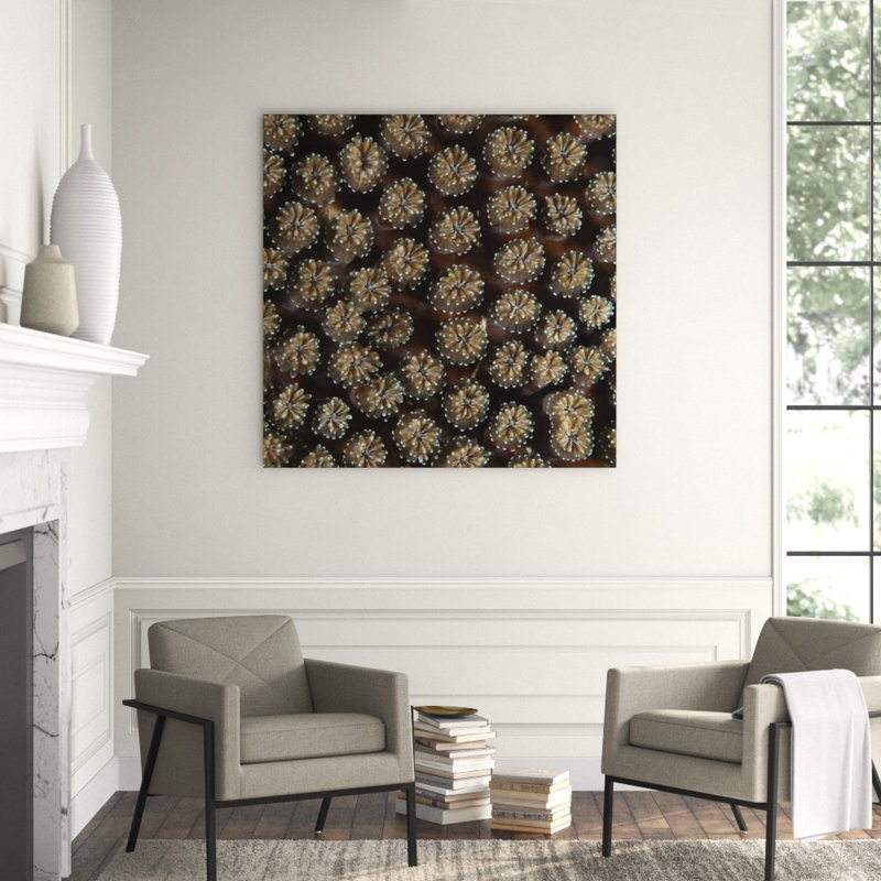 Underwater Beauty II Print by Austin Beiv, Outdoor, 22" H x 22" W x 1.5" D
