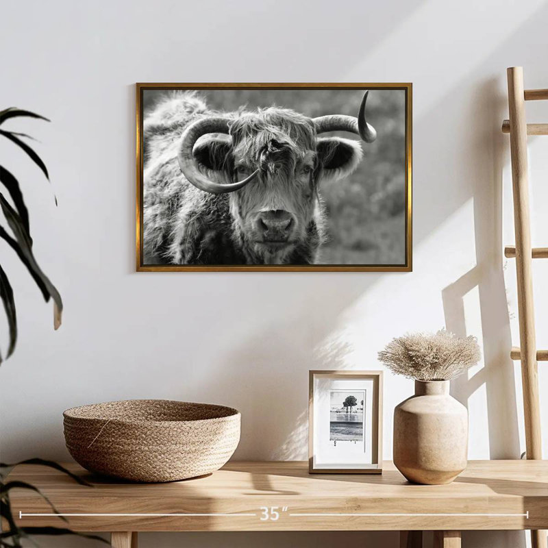Monochrome Highland Cow, 19" X 13", Floating Frame Gold
