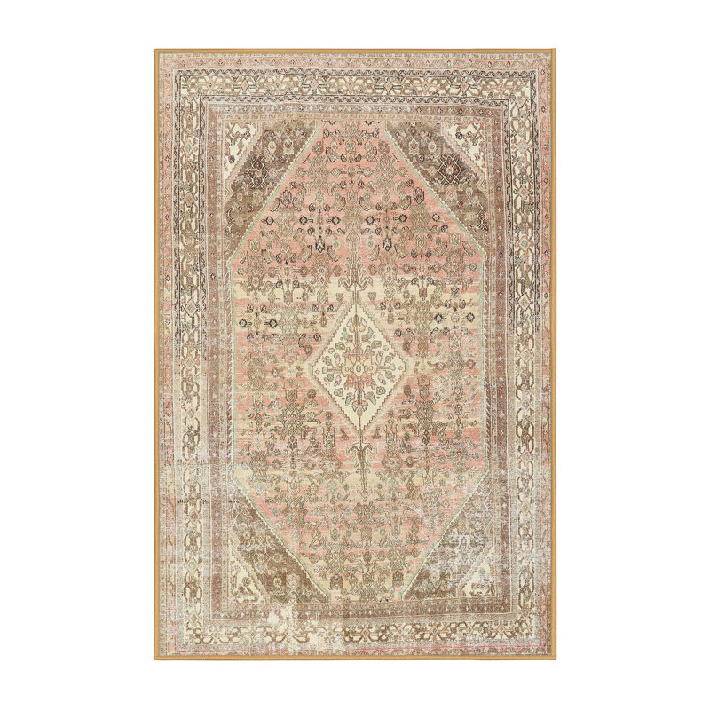 Cialan Oriental Indoor Rug, Rectangle 4' x 6'