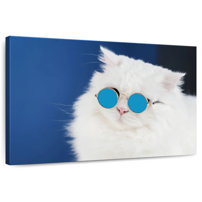 Verres à chat Brampt