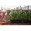 Pot Planter-69178758