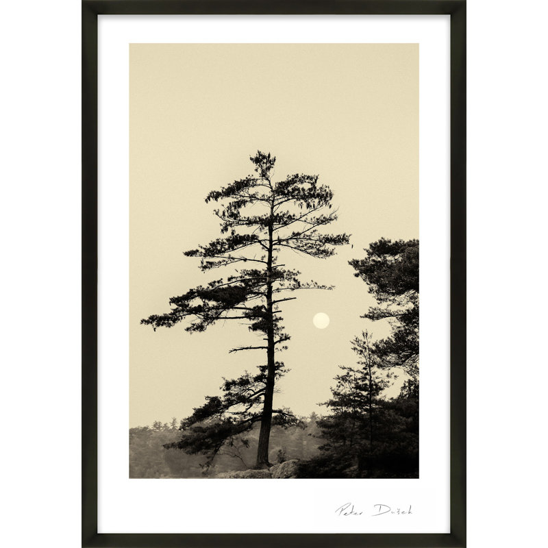 Photographie de jardin, Noir, H 30 po x l 21 po x P 1,25 po