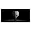 Éléphants en noir et blanc II-1513326942-1513326947
