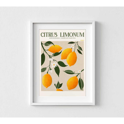 Citron limonum - reproduction d'art botanique rétro citron