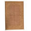 Wool Oriental Area Rug in Cream