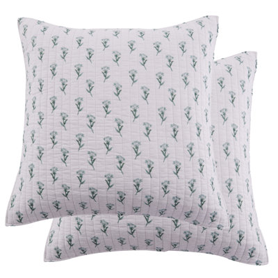 Apolonia Euro Sham set of 2