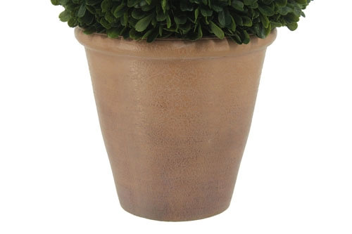 12" Artificial Boxwood Plant in Round Pot, 17 in x 12 in