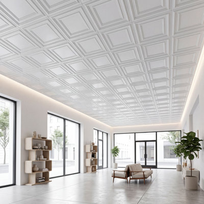 Economy Drop-In PVC Ceiling Tile