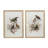 S/2 Bird Framed Print