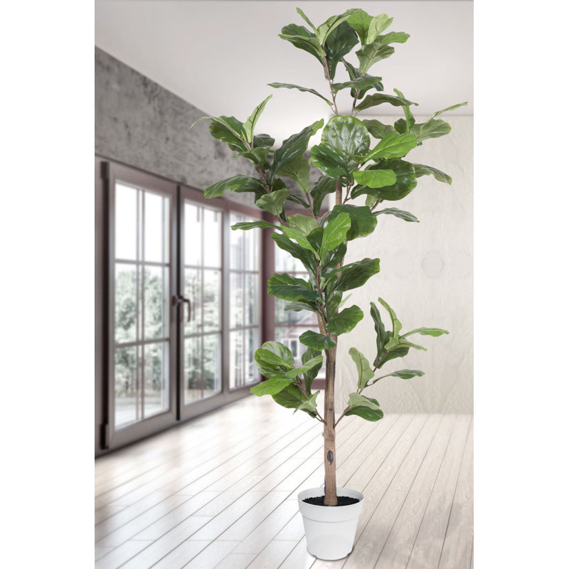 Pot à fleurs décoratif en ficus alpin blanc 67 po Algreen