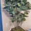 Customer photo 4 of 4
