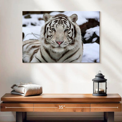 Brampt Glorious White Tiger