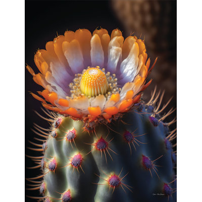 " Cactus Garden II " by Seven Trees Design