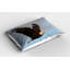 Ensemble de 2 taies décoratives Ambesonne Eagle-100343751