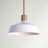 Paula 1 - Light Brass Single Pendant