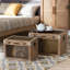 2 Piece Accent Trunk Set