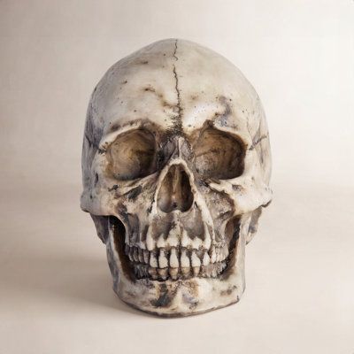 Muscogee Faux Human Skull Holiday Figurine