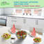  Bols à salade jetables transparents 48Oz avec couvercles - pour le déjeuner, la préparation des repas, les fruits et les salades (300)