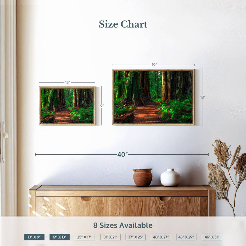 Redwood Forest Path, 19 po x 13 po, Cadre flottant en bois naturel