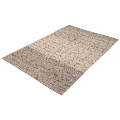 Iagulli Performance Hand Braided Wool Rug