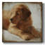 Sur toile-1169478042