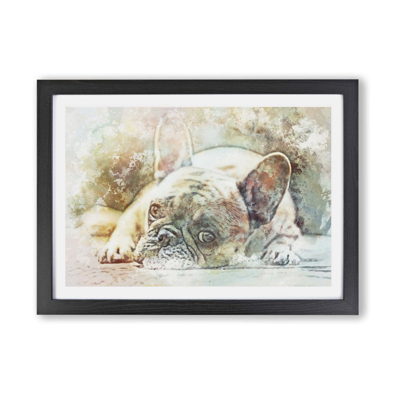 Fawn French Bulldog Dog - Painting, Unframed Paper, 59.4cm H x 84.1cm W x 3cm D