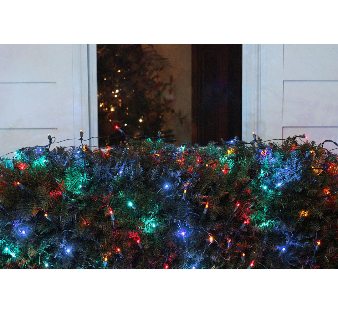 4' x 6' LED Wide Angle Net Style Christmas Lights Green Wire Northlight Seasonal 