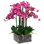 Phalaenopsis In Square Vase