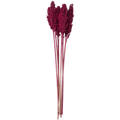 Clerkin Botanical Stems