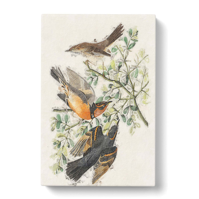 Thrush & Mountain Mocking Birds by John Audubon - Wrapped Canvas Painting, 76cm H x 50cm W x 3cm D