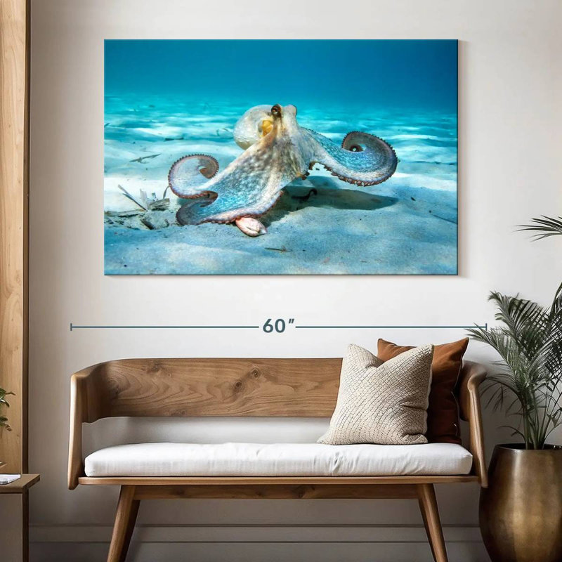 Crowle Roaming Octopus, 34" H x 51" W