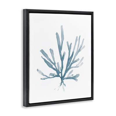 Minimal vrilles corail