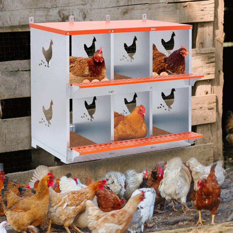 Boîte de nidification en métal - fixation murale pour poules / canards, collection et assemblage facile des œufs, équipement de poulailler ventilé en acier galvanisé