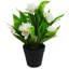 Plastic, Silk Freesia Arrangement in Pot-109341037