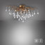 Ahan Spotlight
