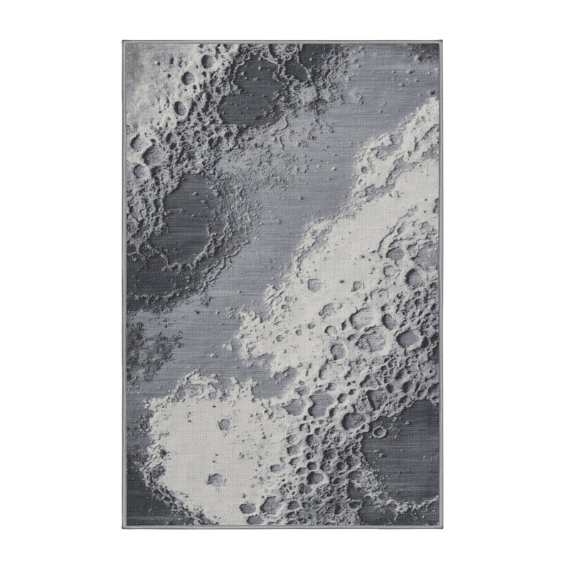 Tapis gris lavable à la machine, Rectangle 6 pi x 9 pi