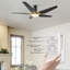 52'' Ceiling Fan with LED Lights-821294354