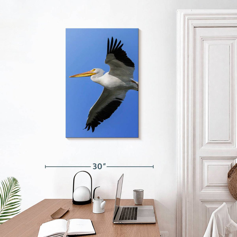 Brampt Pelican In The Sky, 30" H x 20" W