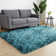 Alexanda Standard Shag Area Rug