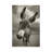 Hey There by Ben Heine - Print on Canvas-143232244-143232247