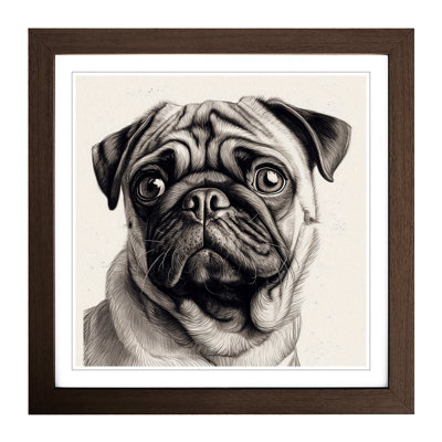 Pug Drawing No.2 - Single Picture Frame Print on Wood