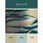 Sunlit Reflections Rug-1531192408