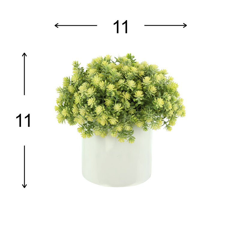 Sedum Arrangement in Fiberstone Pot